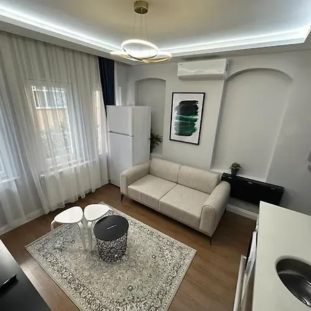 Magnificent House In The Historical Peninsula 3 Istanbul